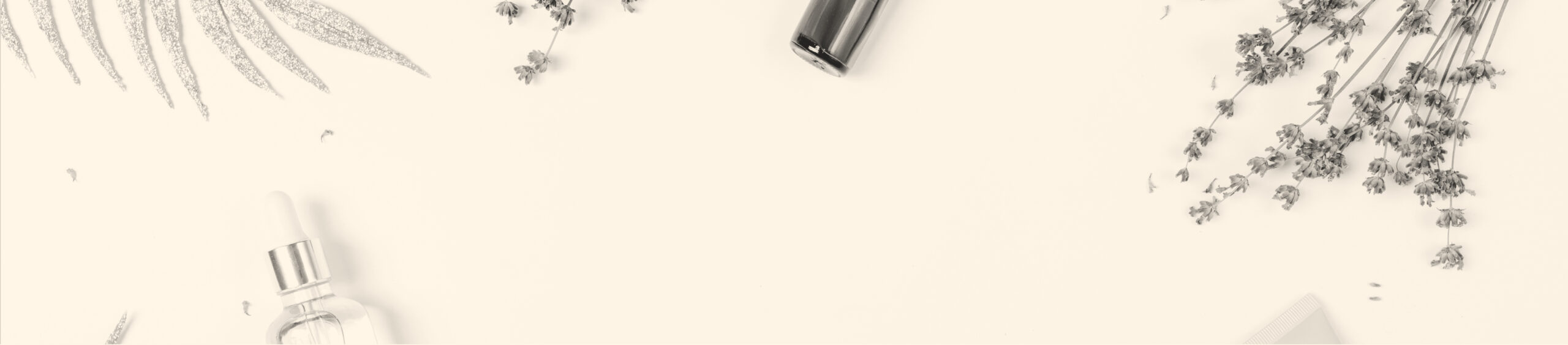 header_contacto